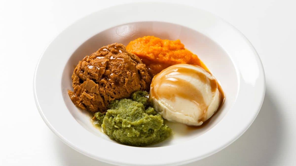 Pureed meal in a white bowl.