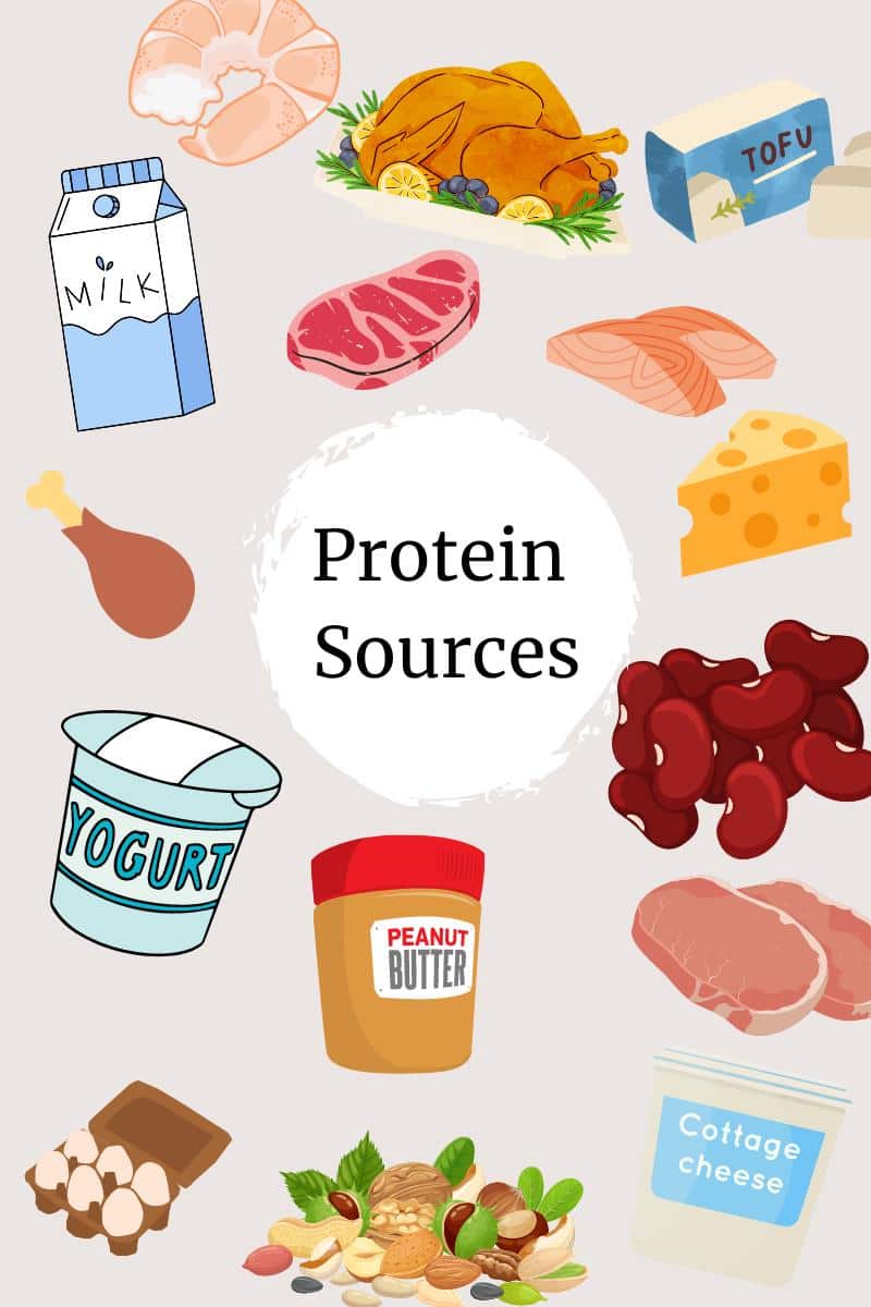 Images of protein sources (shrimp, turkey, tofu, milk, beef, fish, cheese, chicken, beans, yogurt, peanut butter, pork, eggs, nuts, cottage cheese) on grey background. 