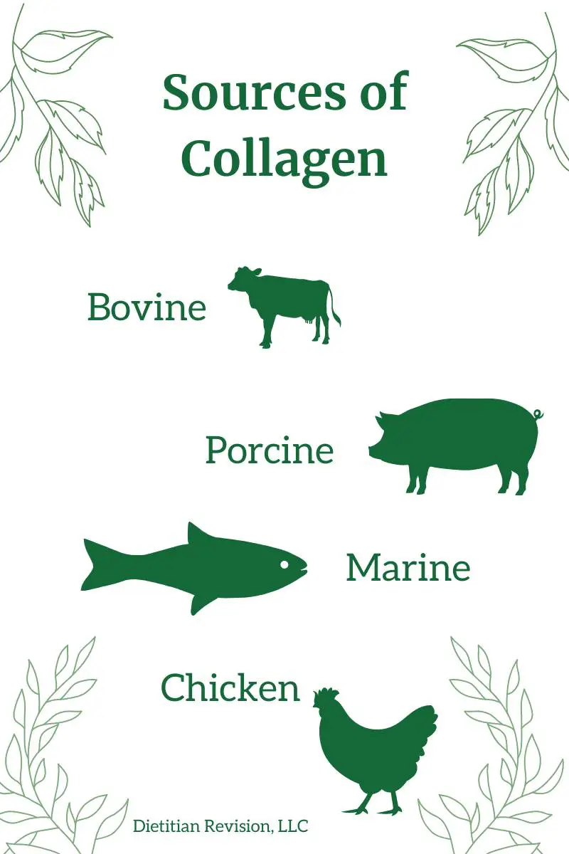 Sources of collagen: bovine with green cow picture, porcine with green pig picture, marine with green fish, chicken with green chicken. 